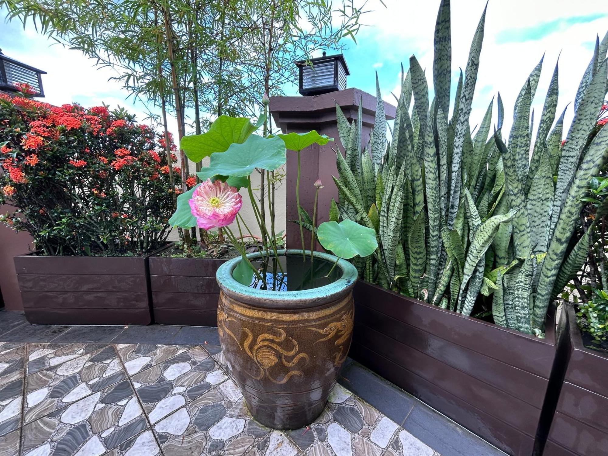 Pontian Garden Hotel Pontian Kecil Zewnętrze zdjęcie